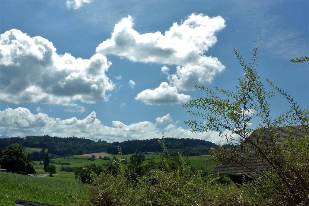 Studio Elegant Ueberstorf Zewnętrze zdjęcie